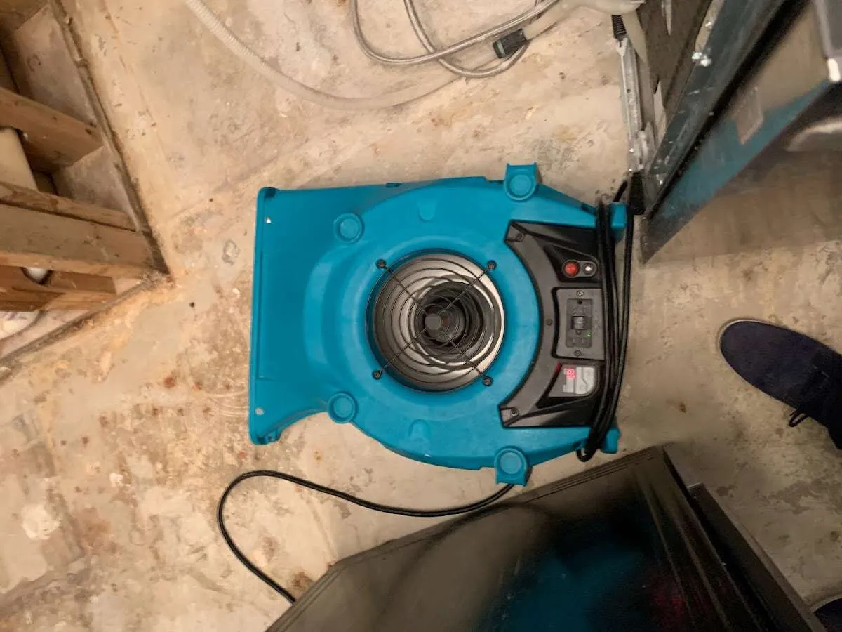 Air mover drying equipment for Mold Remediation & Removal in Hazlet